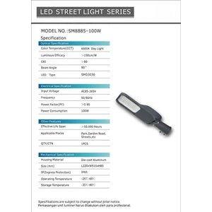 100 watt AC street light